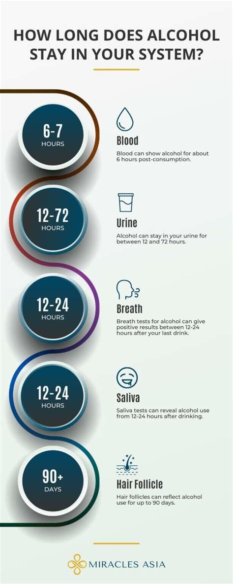 how fast can alcohol leave your system