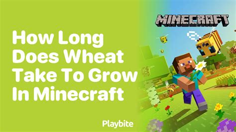 how fast does wheat grow in minecraft