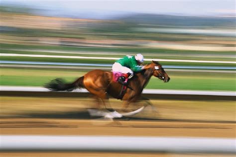 how fast is a racehorse