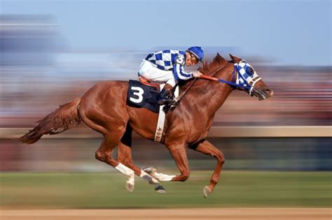 how fast is a racehorse