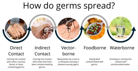 How Germs Spread Explaining The Science For Kids Science Germs - Science Germs