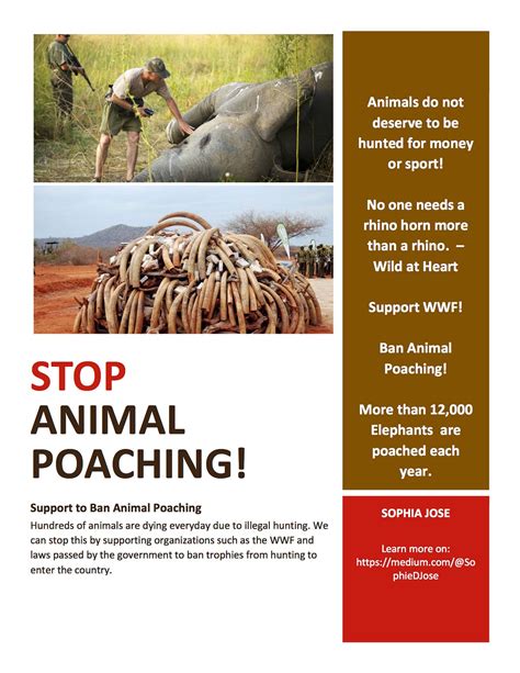 how to accepting stop poaching