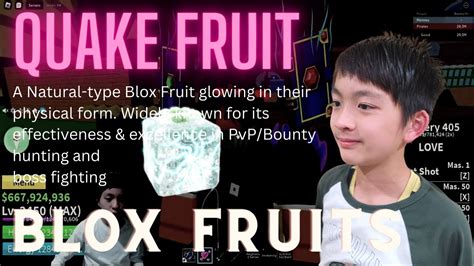 Servidores de Discord com a etiqueta blox-fruits