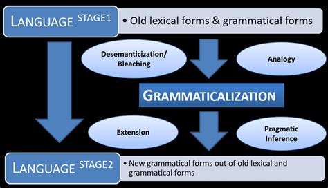 How Grammaticalization Processes Create Grammar