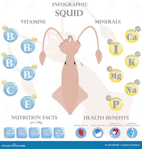 how healthy is squid