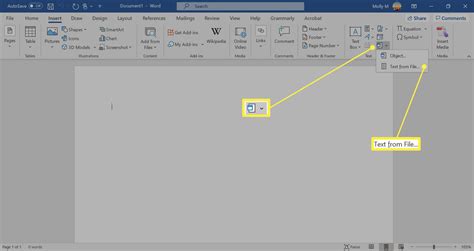 how insert pdf file in word