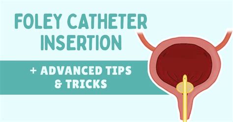 how is a foley catheter inserted