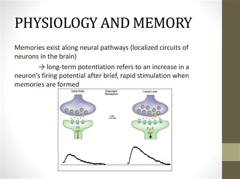 how is a memory formed