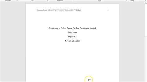 how is an apa paper setup