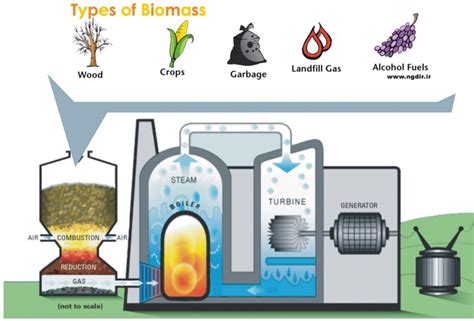 how is biomass used to create energy