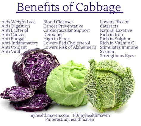 how is cabbage good for you