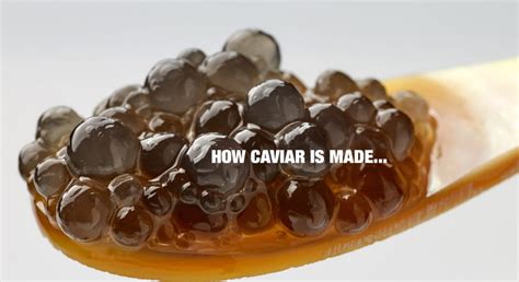 how is caviar produced