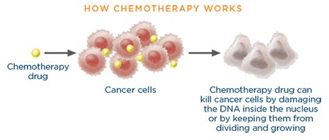 how is chemotherapy made