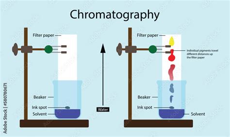 how is chromatography used to separate mixtures