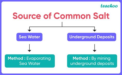 How Is Common Salt Obtained From Seawater