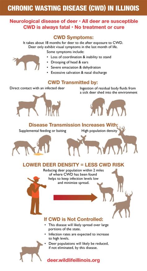 how is cwd spread in deer