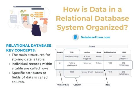 how is data organized in a database