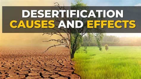 how is desertification caused