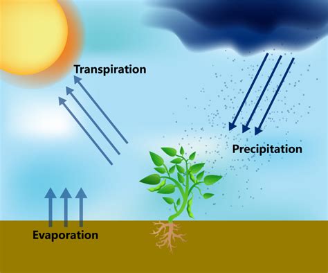 how is evapotranspiration measured