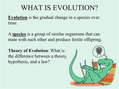 how is evolution possible