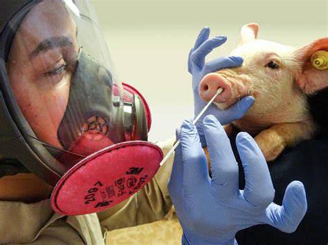 how is flu passed on