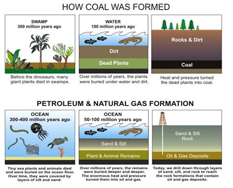 how is fossil fuel created