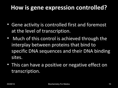 how is gene expression controlled in prokaryotes