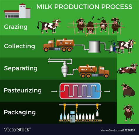 how is milk processed in a dairy