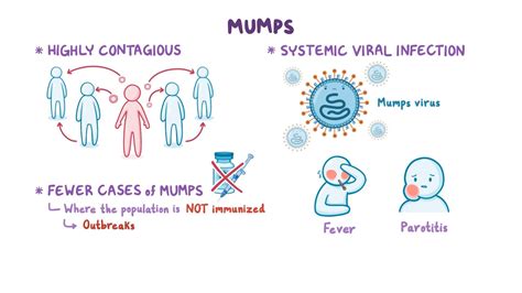 how is mumps transmitted in humans