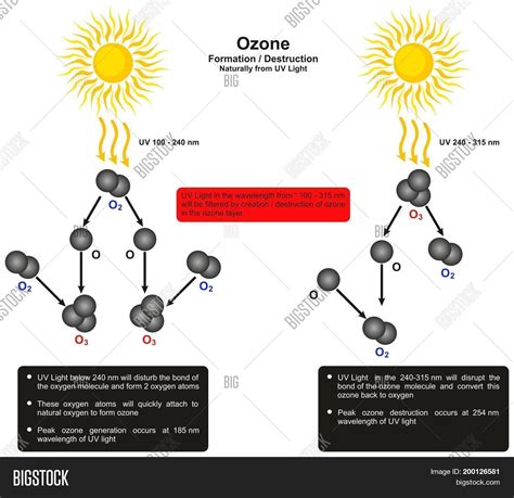 how is ozone naturally formed