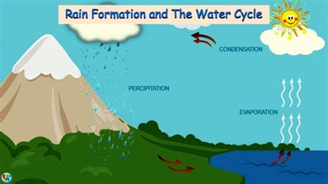 how is precipitation formed