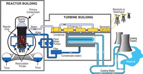 how is uranium converted into electricity