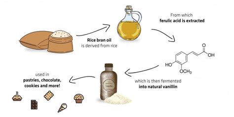 how is vanillin made