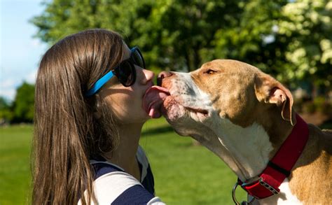 how kiss a dog