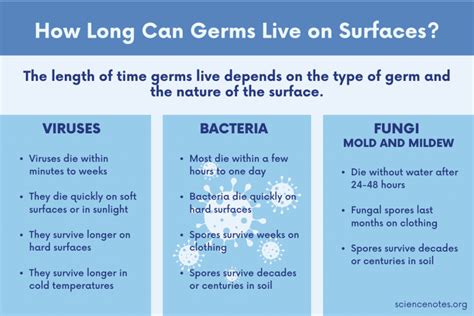 how long can germs survive on surfaces