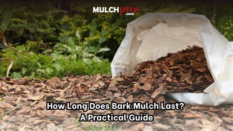 how long does black mulch last