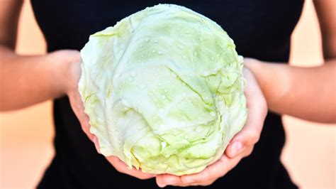 how long does cabbage last in refrigerator