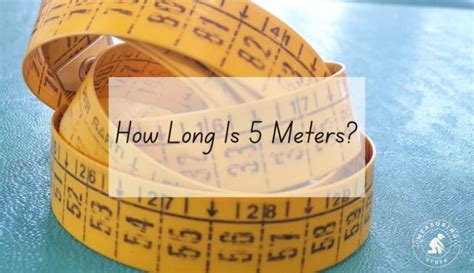 How Long Is 5 Meter