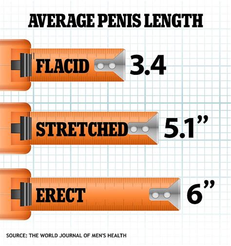 how long is a average dick