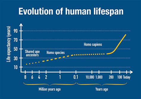 how long is a human lifespan