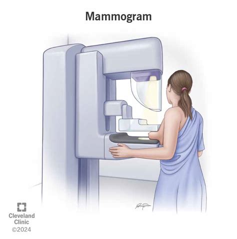 how long is a mammogram test
