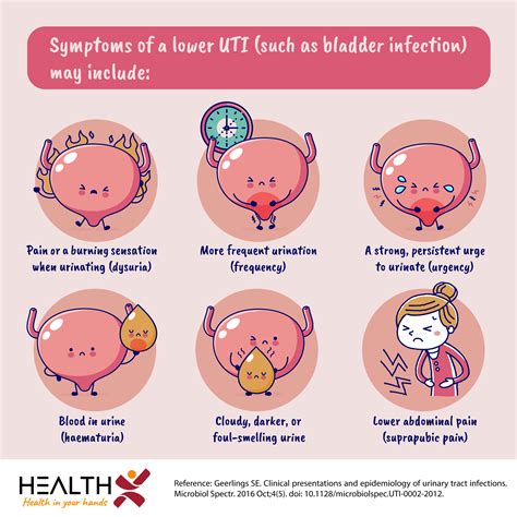 how long is a uti contagious