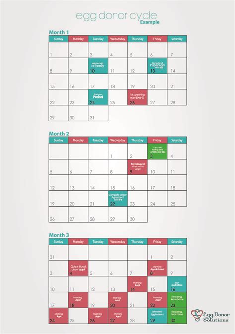 how long is an egg donation cycle