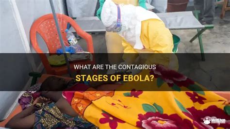 how long is ebola contagious