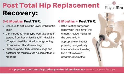 how long is hip replacement recovery