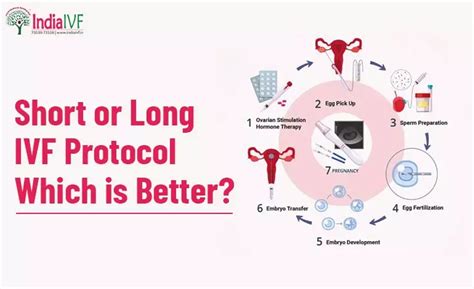 how long is ivf