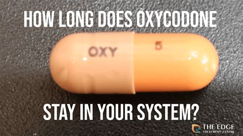 how long is oxycodone in system