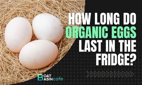 how long organic eggs last in fridge