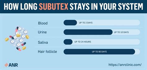 how extensive is subutex make happen your system