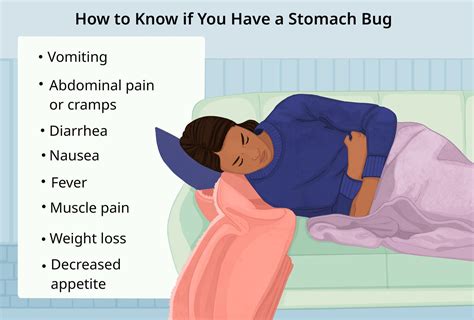 how long should a tummy bug last